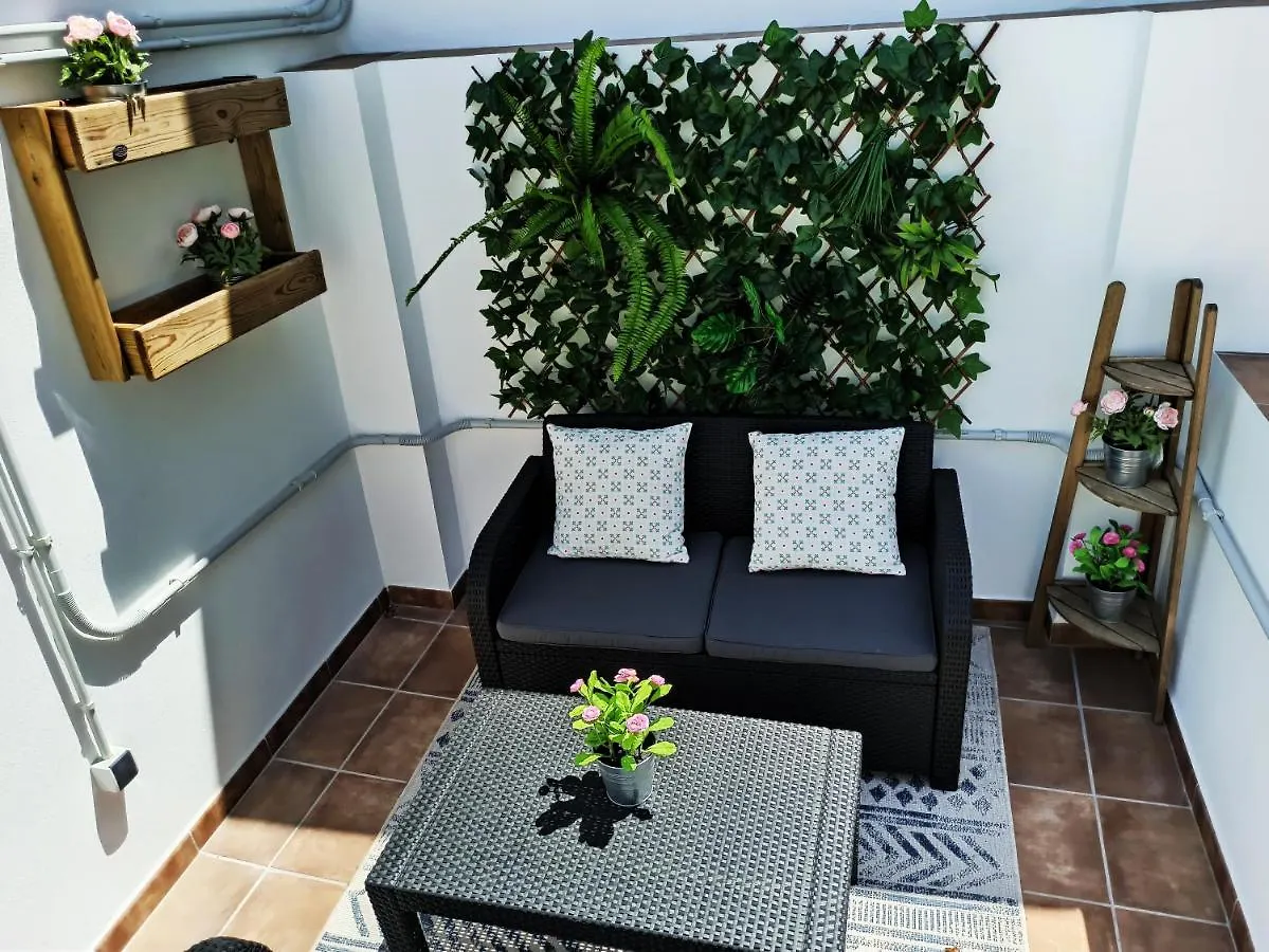 Barcelo 21, Parking On Request, Atico With Terrace & Studio With Patio, Center, Breakfast Included, Quite Neighborhood, Bc Málaga 0*,  España